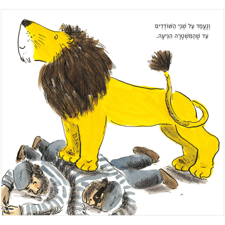 איך להחביא אריה / הלן סטיבנס