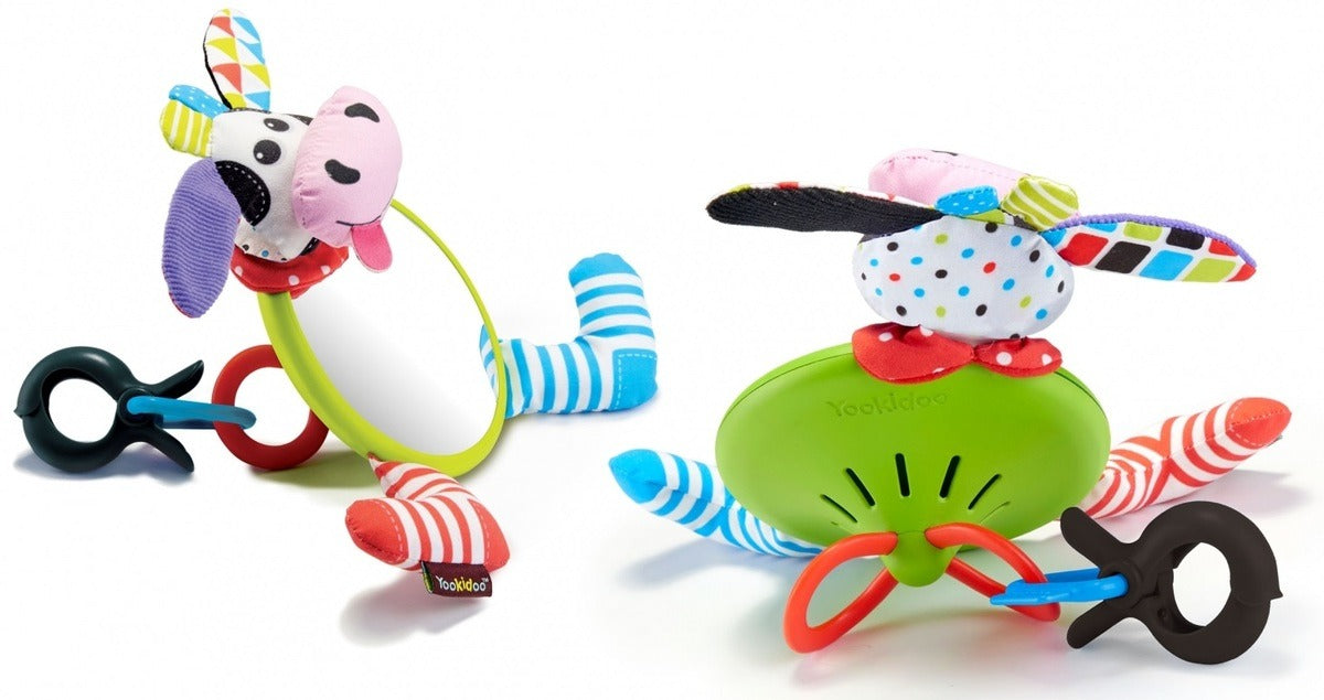 המראה הראשונה שלי - פרה