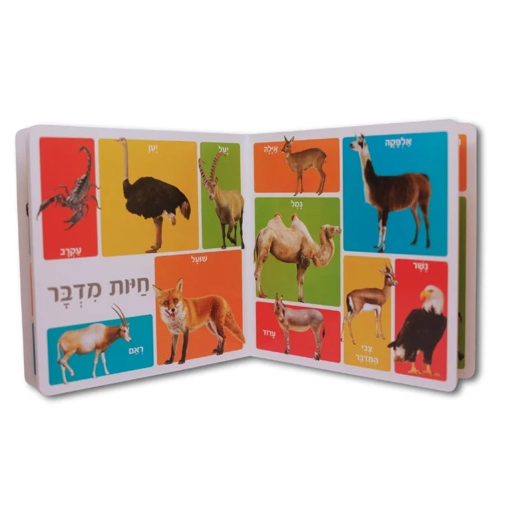 מאה מילים ראשונות - חיות