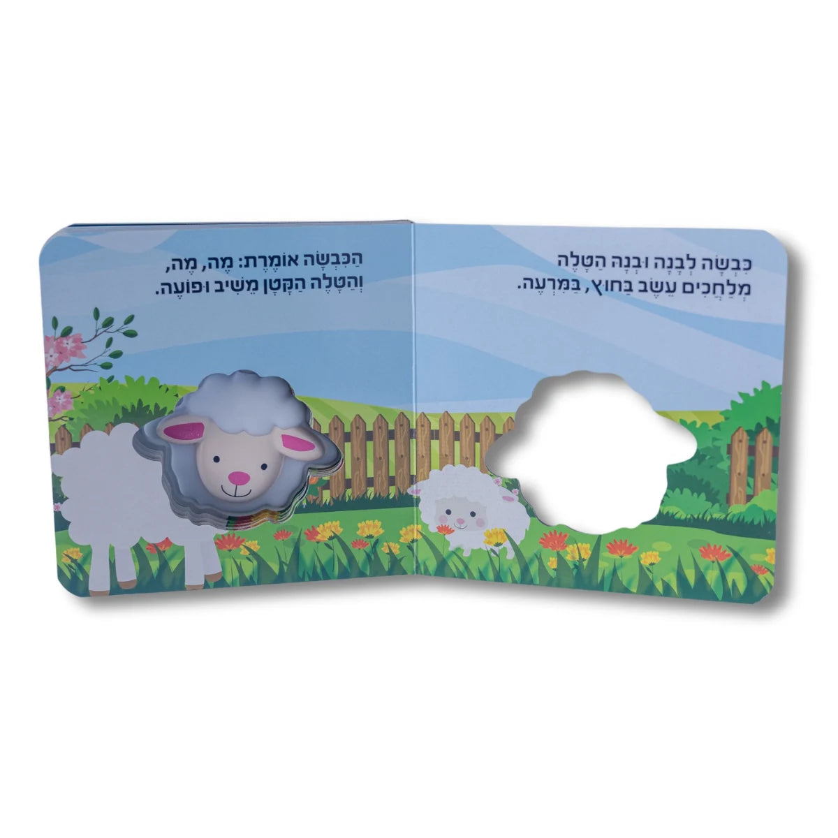 ספר מצפצף - לכבשה הלבנה טלה קטן