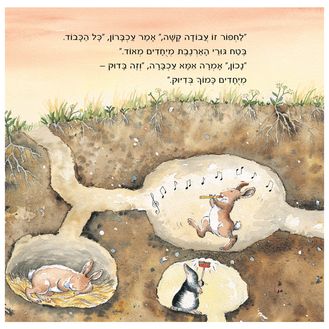 כמוך בדיוק - ספר קרטון / ג׳אן פירנלי