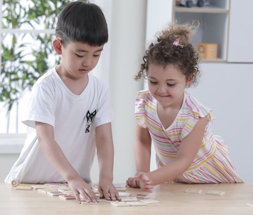 פאזל משחק התאמה ולימוד 5 החושים מעץ מלא 35 חלקים