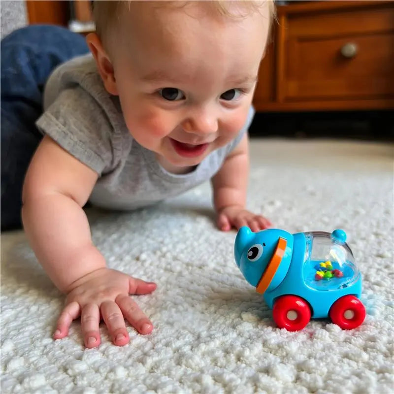 רעשן נוסע הפיל אלי