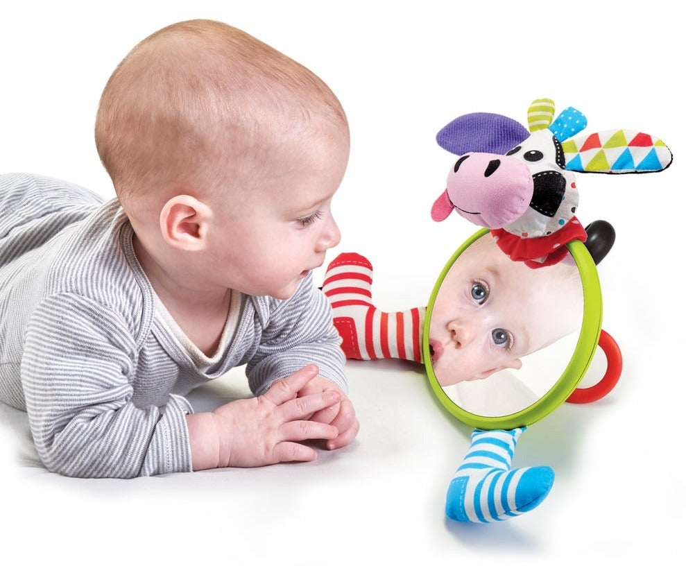 המראה הראשונה שלי - פרה