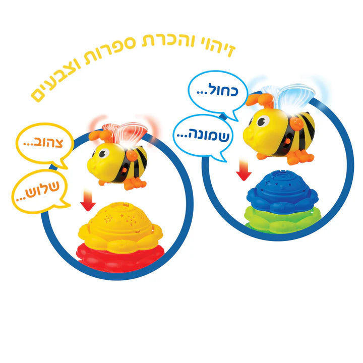 הדבורה החכמה 3 ב 1