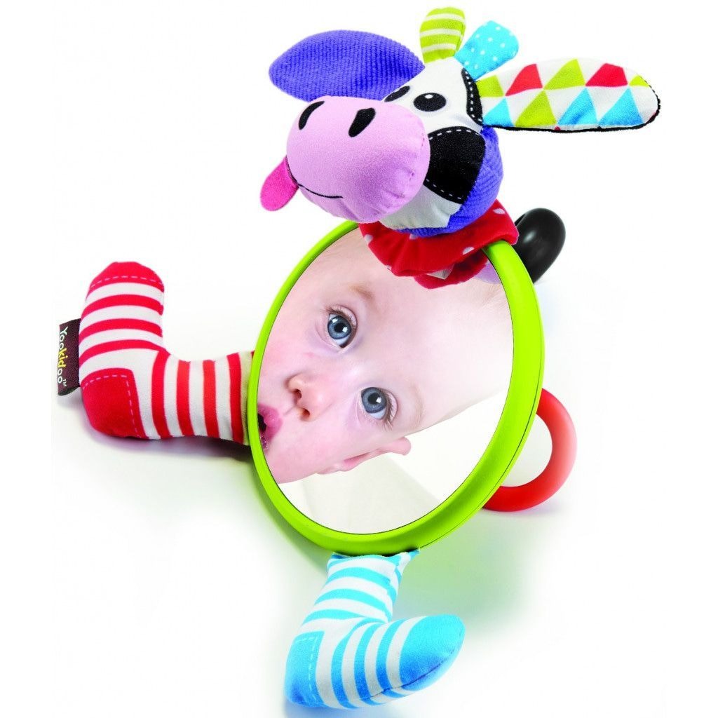 המראה הראשונה שלי - פרה